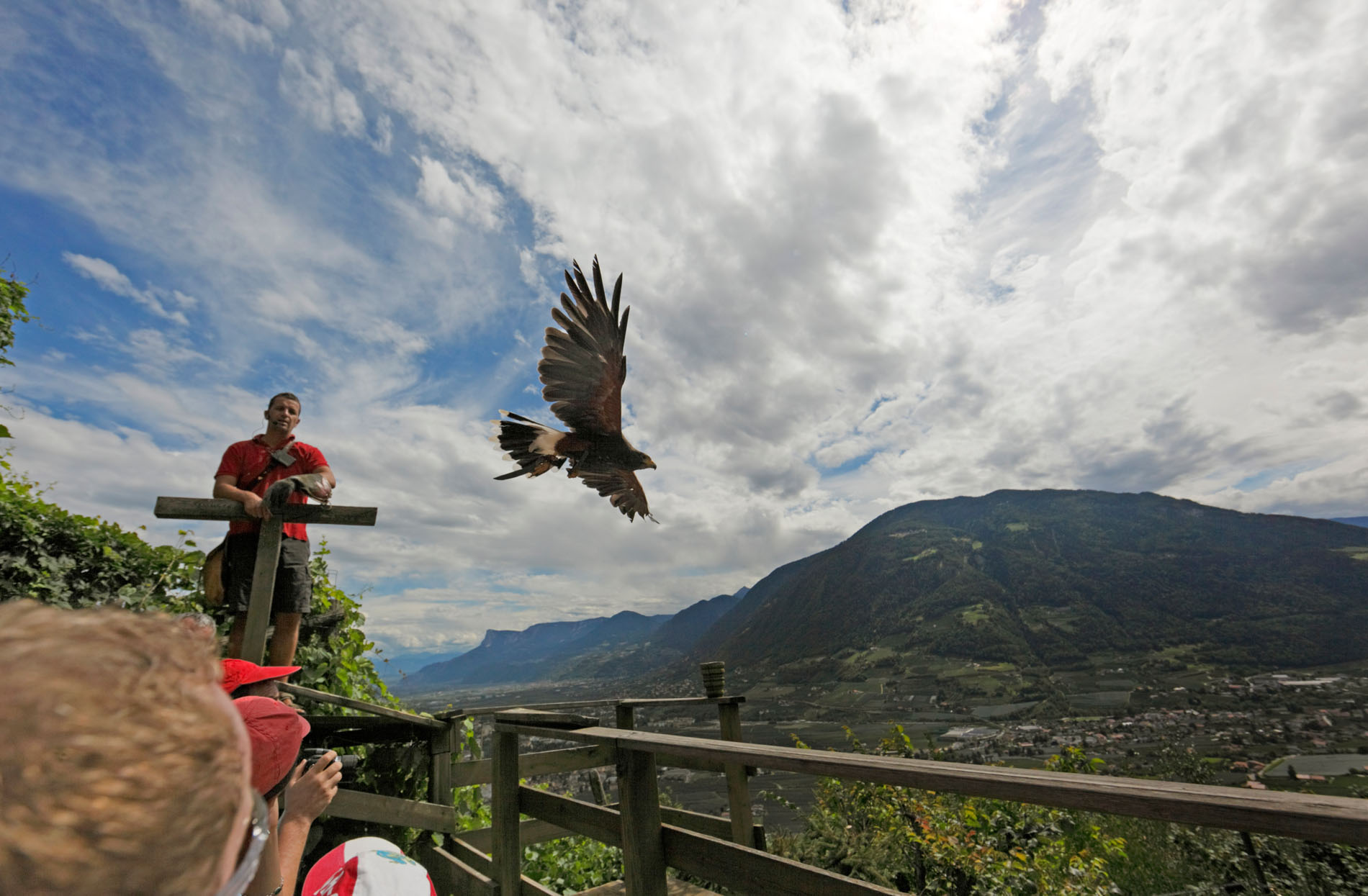 Adlerflug über einer Aussichtsplattform mit Menschen, im Hintergrund Berge und bewölkter Himmel