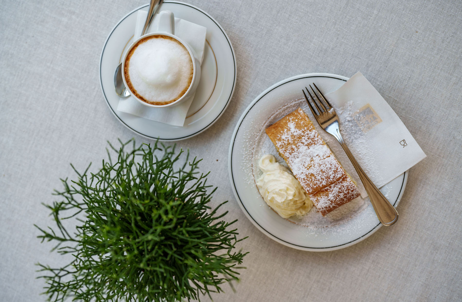 Tasse Cappuccino, Teller mit Apfelstrudel und Schlagcreme auf gedecktem Tisch, daneben grüner Pflanzenzweig. Tasse Cappuccino, Teller mit Apfelstrudel und Schlagcreme auf gedecktem Tisch, daneben grüner Pflanzenzweig.