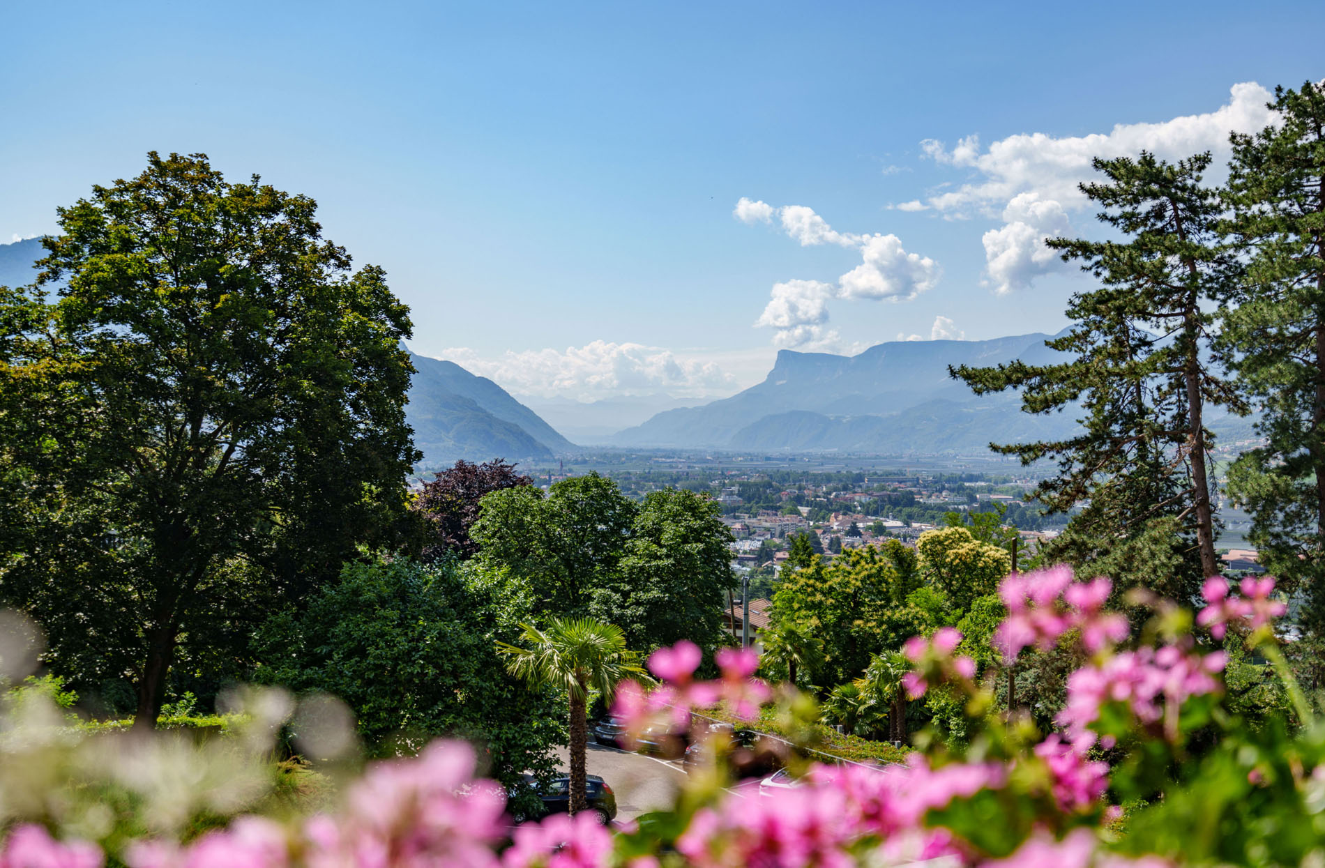 Blick auf ein Tal mit Stadt, umgeben von Bergen und weitem blauen Himmel, im Vordergrund grüne Bäume und rosa Blumen.