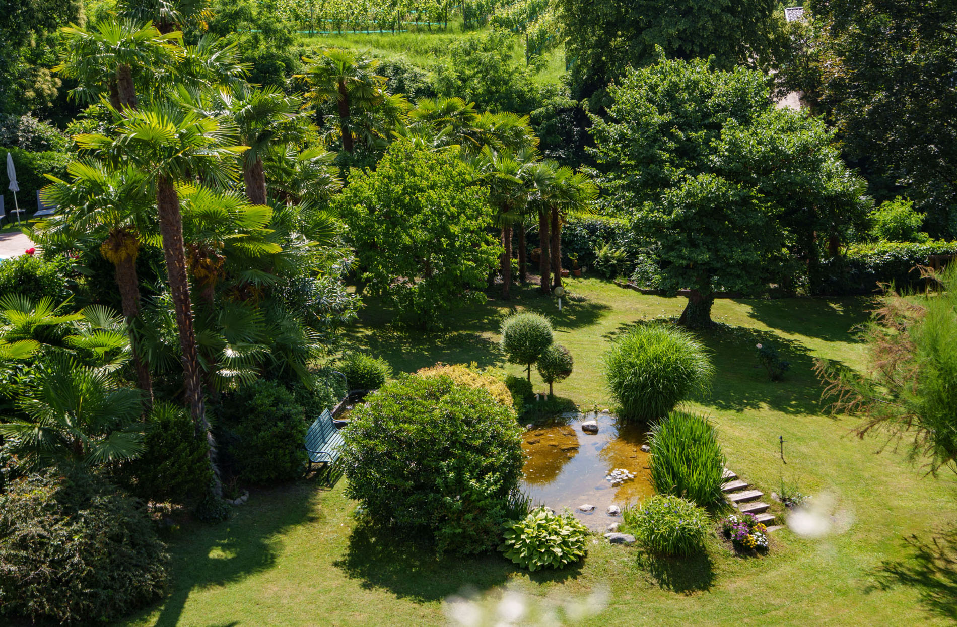 Grüner Garten mit vielen Bäumen, Sträuchern, einer kleinen Wasserstelle und einer Bank im Schatten. Grüner Garten mit vielen Bäumen, Sträuchern, einer kleinen Wasserstelle und einer Bank im Schatten.