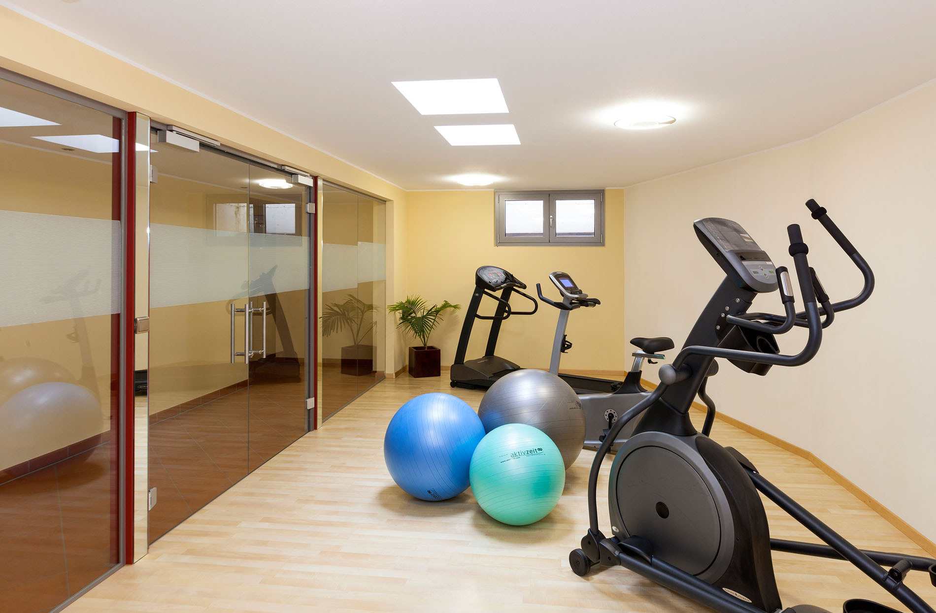 Kleiner Fitnessraum mit Cardio-Geräten und Gymnastikbällen, Holzfußboden und Glaswand Kleiner Fitnessraum mit Cardio-Geräten und Gymnastikbällen, Holzfußboden und Glaswand